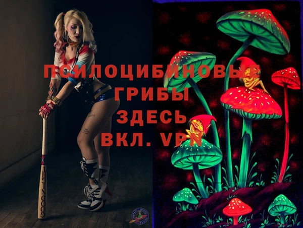 MDMA Богородицк