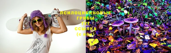 прущая мука Богданович