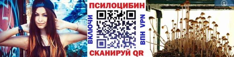 где можно купить наркотик  Туапсе  Псилоцибиновые грибы GOLDEN TEACHER 